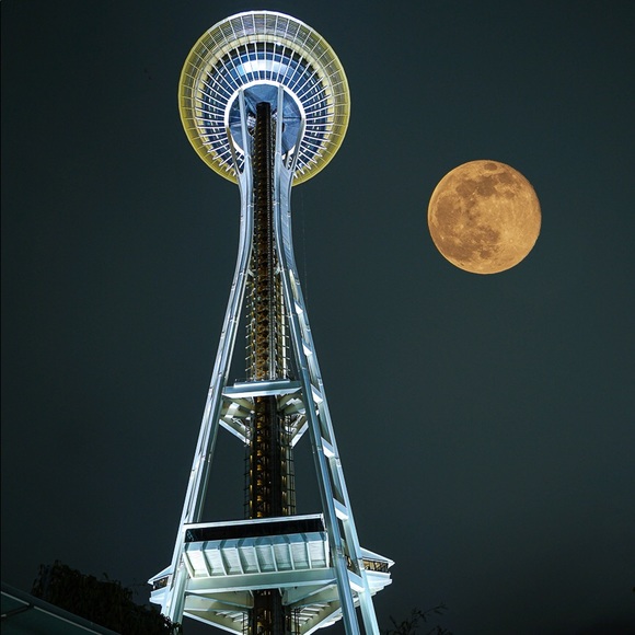 Meet your Posher, Roman - Picture 2 of 8